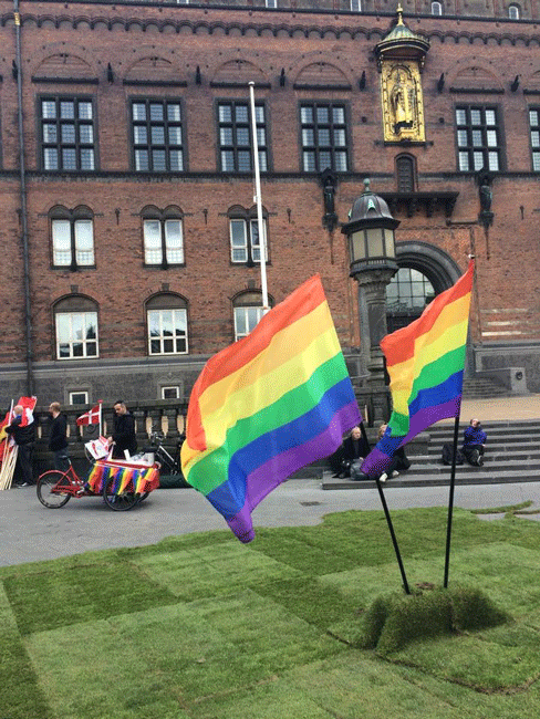 Pride_Flags.gif